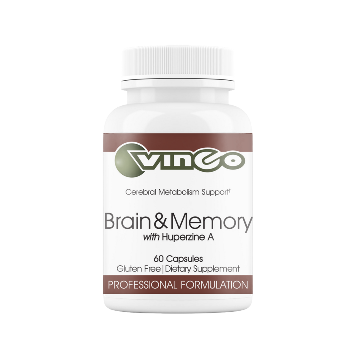 Brain & Memory